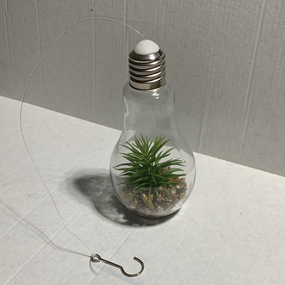 Hanging Light Bulb Terrarium with Green Plant